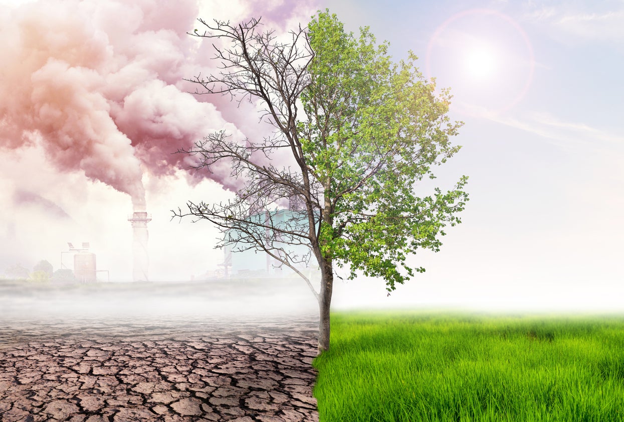 Our future depends on our relationship with nature